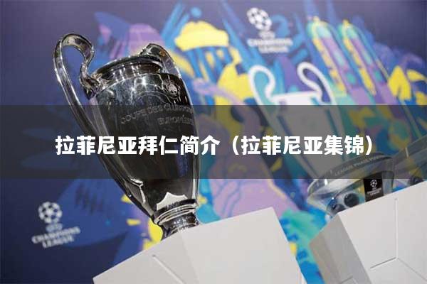 拉菲尼亚拜仁简介（拉菲尼亚集锦）